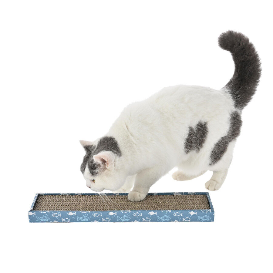 Leeby Fitz t&aacute;bua arranhadora de cart&atilde;o azul para gatos, , large Imagem n&uacute;mero 8