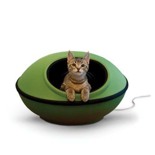Camas gatos on sale kiwoko