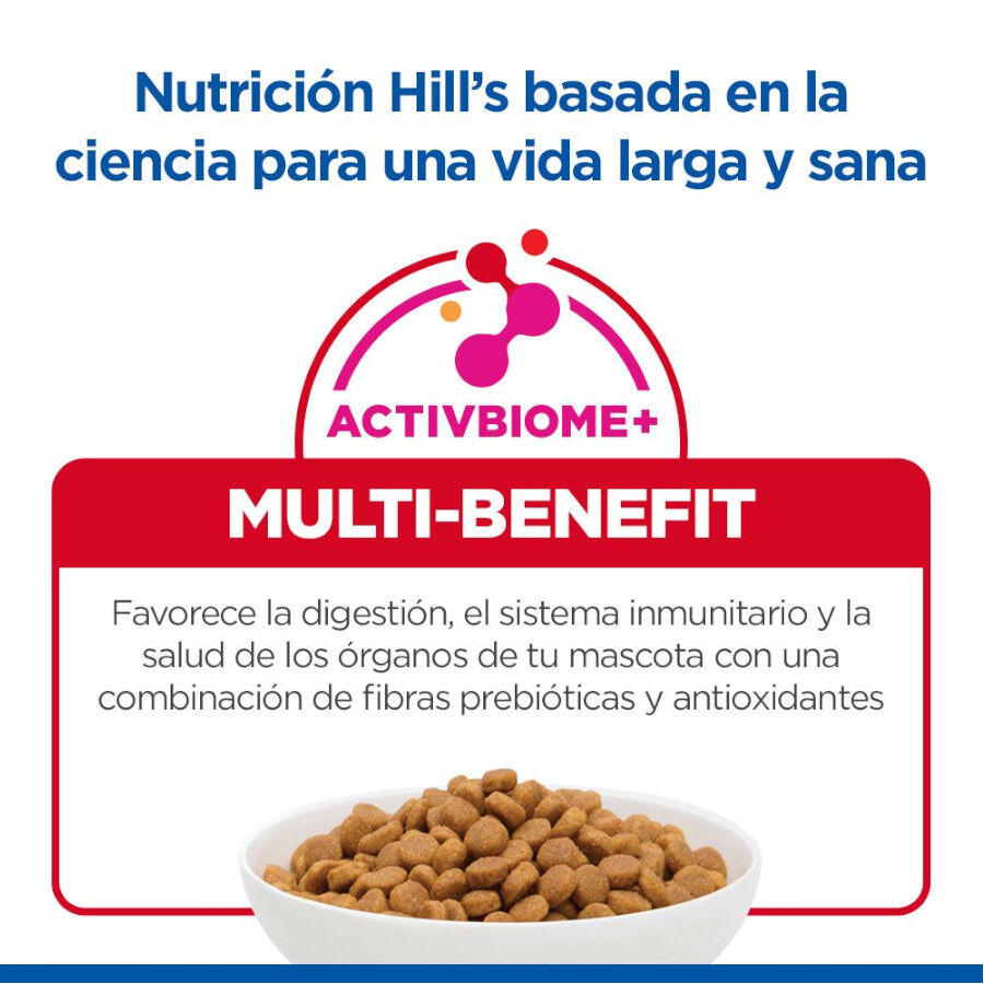 Hill's Smal e Mini Adult Science Plan Frango ra&ccedil;&atilde;o para c&atilde;es, , large Imagem n&uacute;mero 7