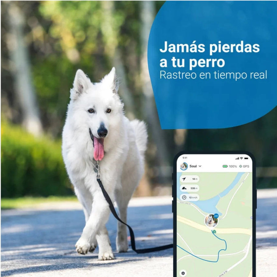 Tractive Localizador GPS para c&atilde;es, , large Imagem n&uacute;mero 2