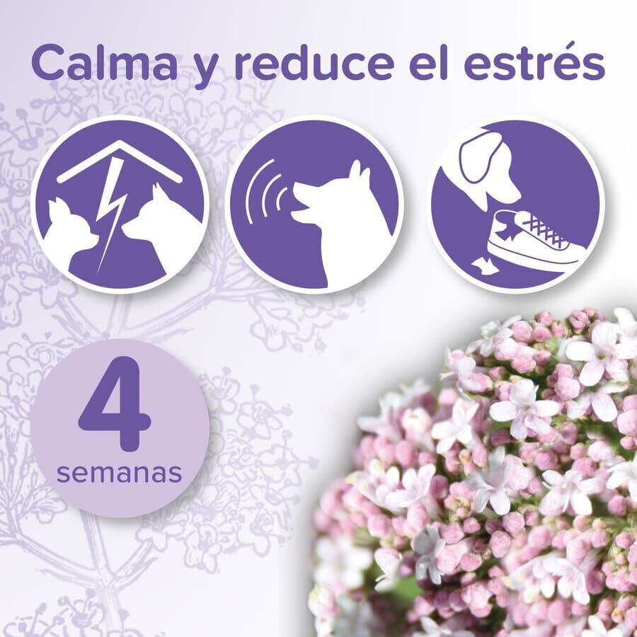 Beaphar No-Stress Difusor e Recarga Anti Stress para c&atilde;es, , large Imagem n&uacute;mero 2