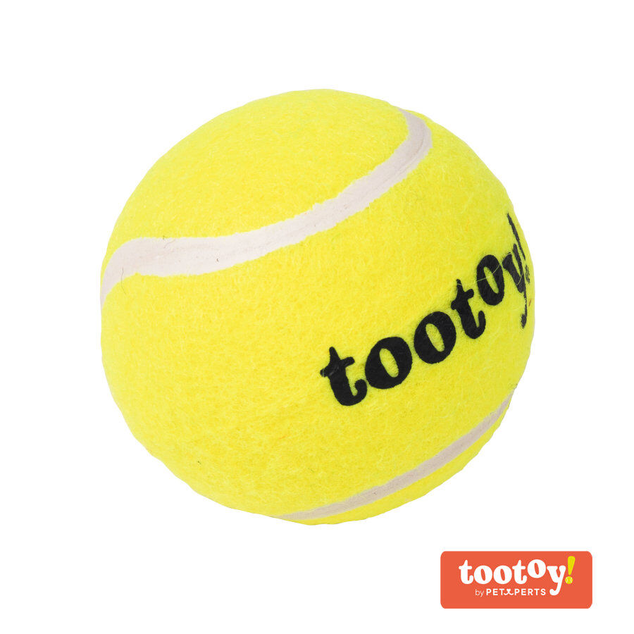 Tootoy! Chase Squeaker Ball bola de t&eacute;nis para c&atilde;es, , large Imagem n&uacute;mero 1