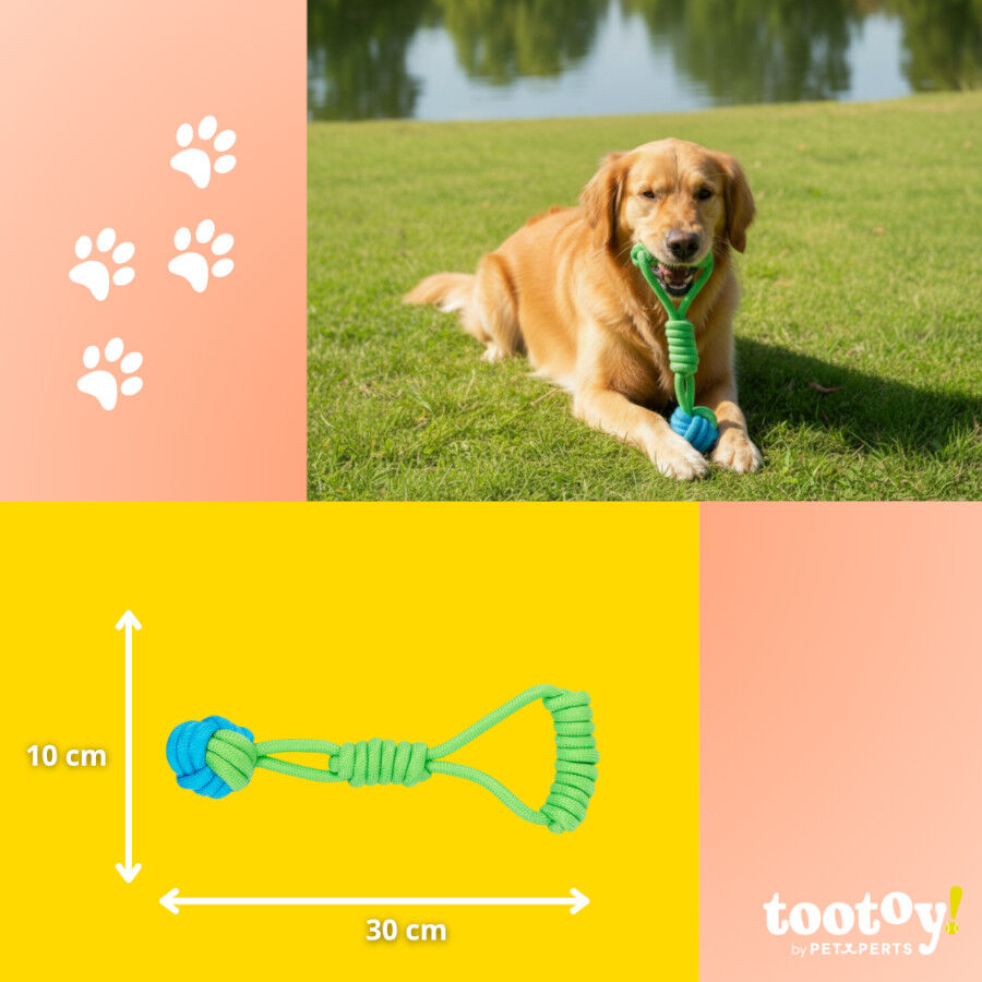 Tootoy! Pull Bola de puxar com corda para c&atilde;es, , large Imagem n&uacute;mero 4