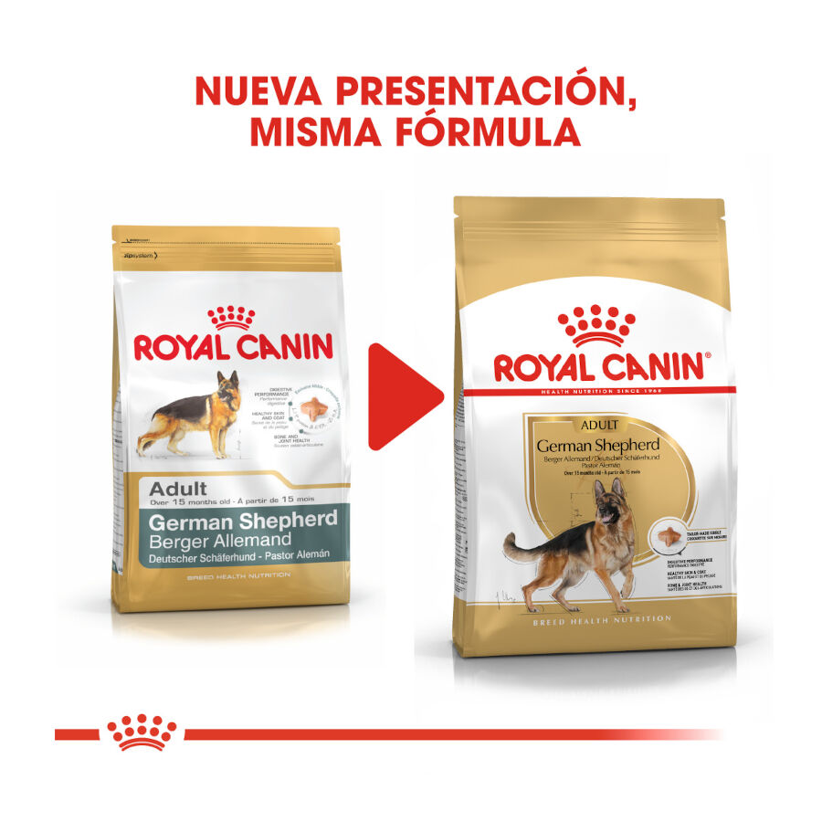 11 kg Royal Canin Adult Pastor Alem&atilde;o ra&ccedil;&atilde;o para c&atilde;es, , large Imagem n&uacute;mero 3