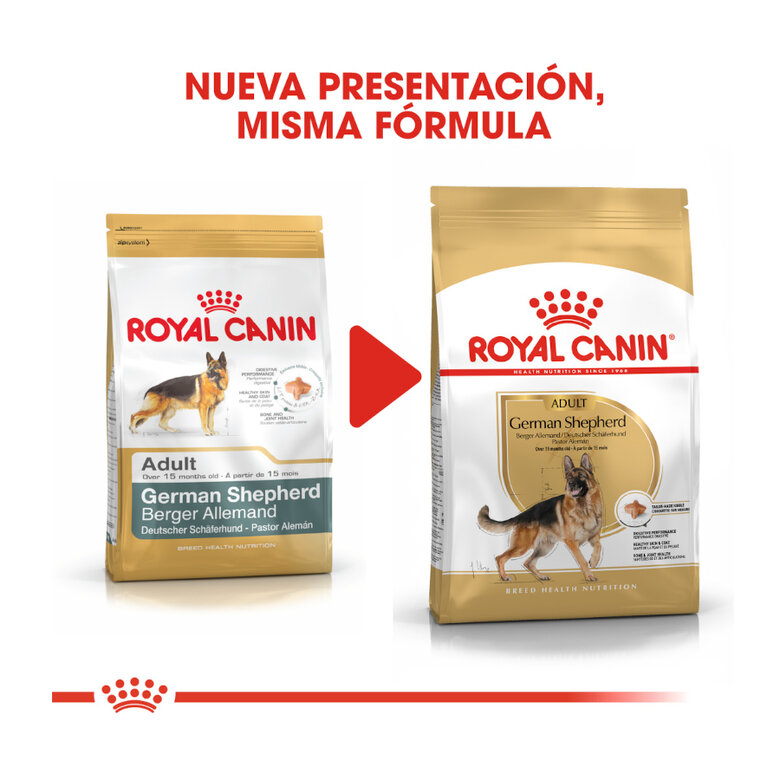 11 kg Royal Canin Adult Pastor Alemão ração para cães,  Imagem número 3 11 kg Royal Canin Adult Pastor Alemão ração para cães, , large Imagem número 3