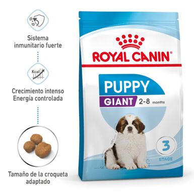 Royal Canin Puppy Giant ração para cães