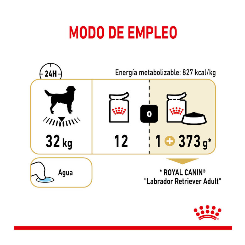 140 g Saquetas Royal Canin Labrador 140g,  Imagem número 7 140 g Saquetas Royal Canin Labrador 140g, , large Imagem número 7
