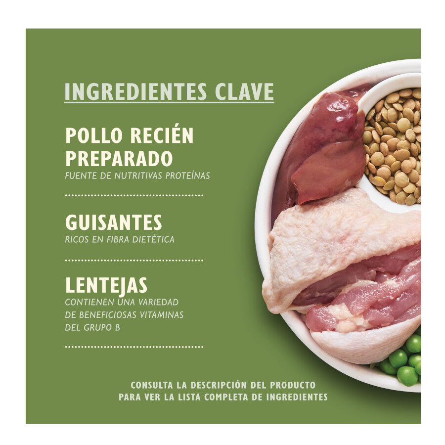 7 kg Lily's Kitchen Organic Frango e Legumes ra&ccedil;&atilde;o para c&atilde;es, , large Imagem n&uacute;mero 2