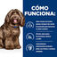 Hill's Prescription Diet Aging and Alertness Care b/d Ração para cães com frango, , large Indicador imagem número 5