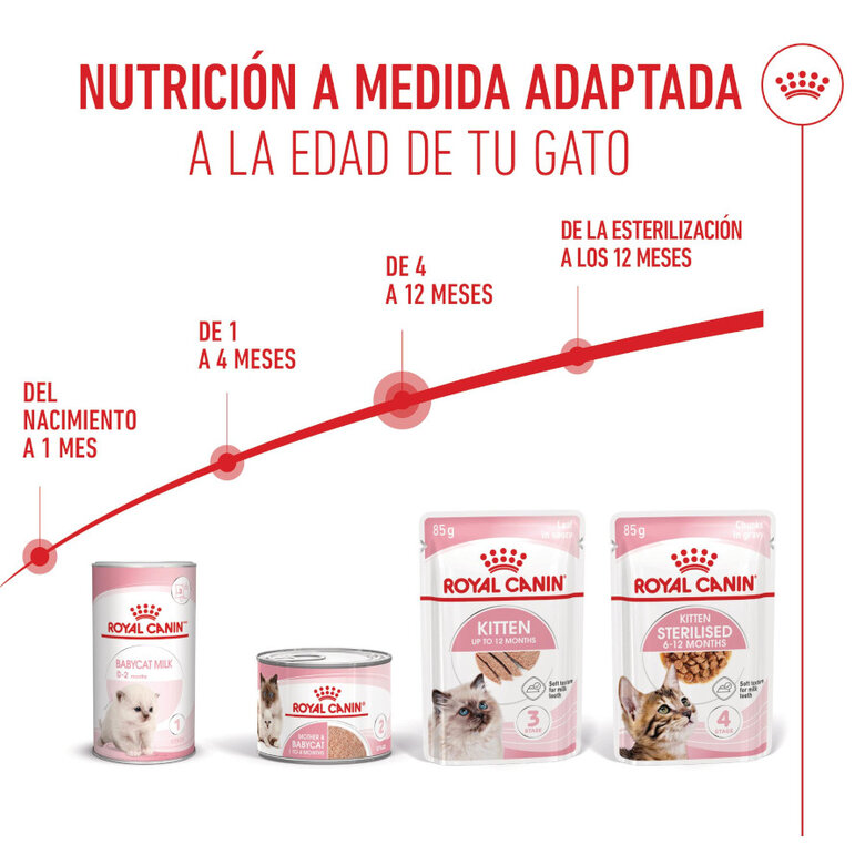 85 g Royal Canin Kitten patê em saquetas para gatos,  Imagem número 6 85 g Royal Canin Kitten patê em saquetas para gatos, , large Imagem número 6
