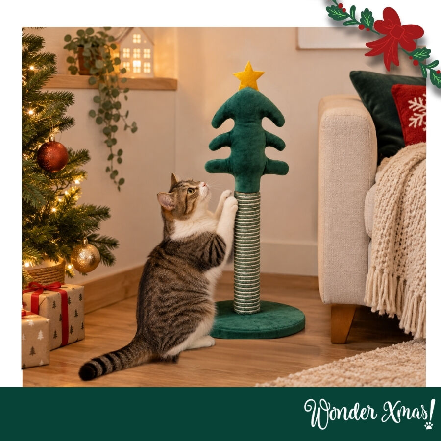 Wonder Christmas Arranhador de Natal para gatos, , large Imagem n&uacute;mero 2