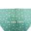 Gotoo Bandana estampada verde para cães, , large Indicador imagem número 4