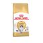 10 kg Royal Canin Adult Bosques da Noruega Ração para gatos, , large Indicador imagem número 1