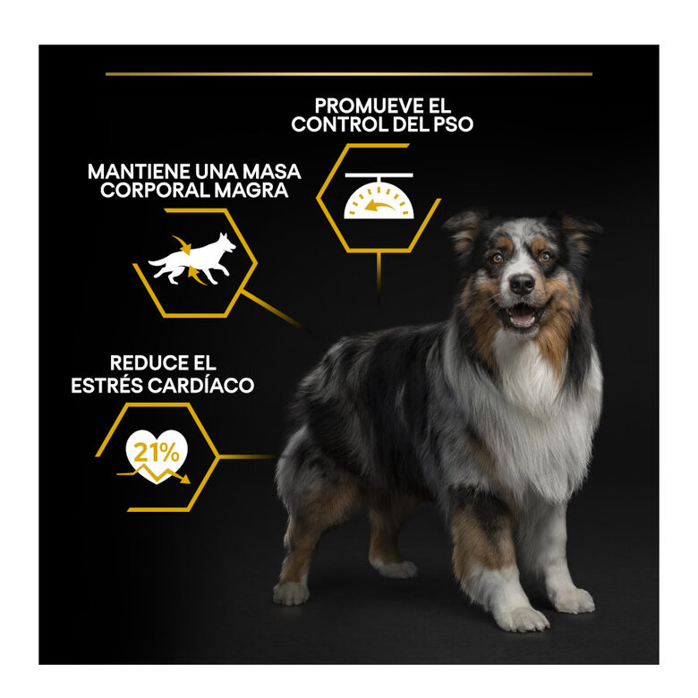 16.5 kg (14 + 2.5 kg grátis!) Pro Plan Adult Light/Sterilised Frango ração para cães,  Imagem número 3 16.5 kg (14 + 2.5 kg grátis!) Pro Plan Adult Light/Sterilised Frango ração para cães, , large Imagem número 3