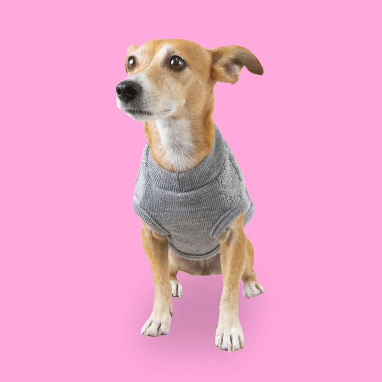 Outech Rombos Camisola de malha cinzenta para cães,  Imagem número 2 Outech Rombos Camisola de malha cinzenta para cães, , large Imagem número 2