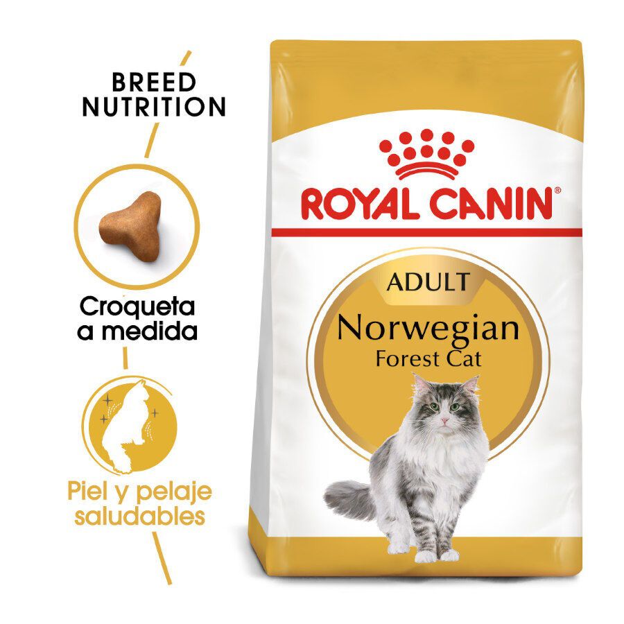10 kg Royal Canin Adult Bosques da Noruega Ra&ccedil;&atilde;o para gatos, , large Imagem n&uacute;mero 2