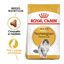 10 kg Royal Canin Adult Bosques da Noruega Ração para gatos, , large Indicador imagem número 2