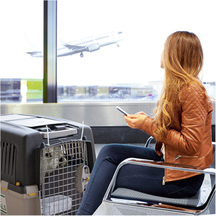 Gulliver 6 IATA Transportador para c&atilde;es, , large Imagem n&uacute;mero 3