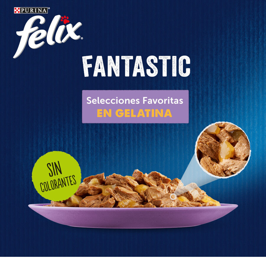 4 saquetas x 85 g Felix Fantastic Sele&ccedil;&otilde;es Favoritas saquetas em geleia, , large Imagem n&uacute;mero 2