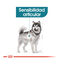 10 kg Royal Canin Joint Care Maxi ração para cães, , large Indicador imagem número 5