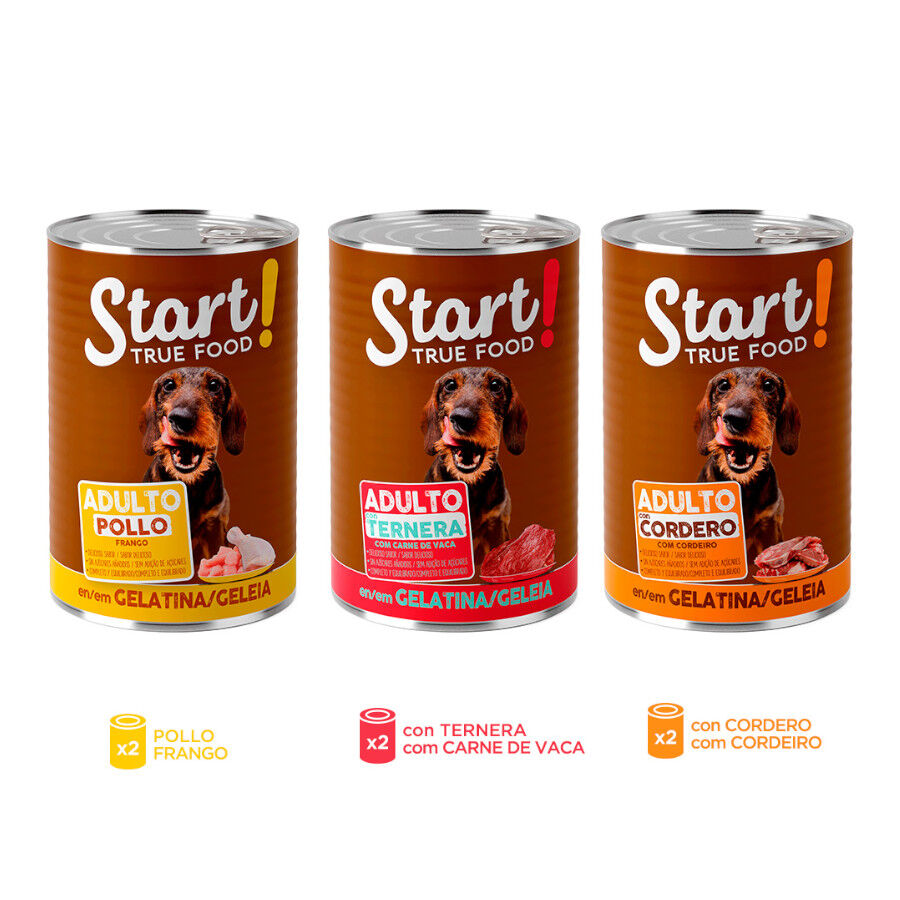 6 latas x 400 g Start! Adulto Frango, Vitela e Cordeiro em Gelatina para c&atilde;es, , large Imagem n&uacute;mero 3