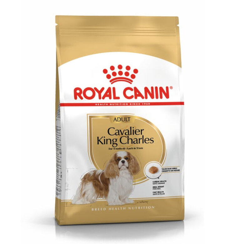 3 kg Royal Canin Adult Cavalier King Charles ração para cães,  Imagem número 1 3 kg Royal Canin Adult Cavalier King Charles ração para cães, , large Imagem número 1