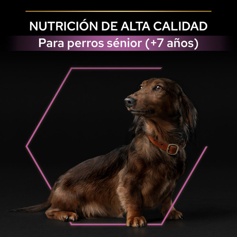 3 kg Pro Plan Adult Small & Mini OptiAge Frango ração para cães,  Imagem número 8 3 kg Pro Plan Adult Small & Mini OptiAge Frango ração para cães, , large Imagem número 8