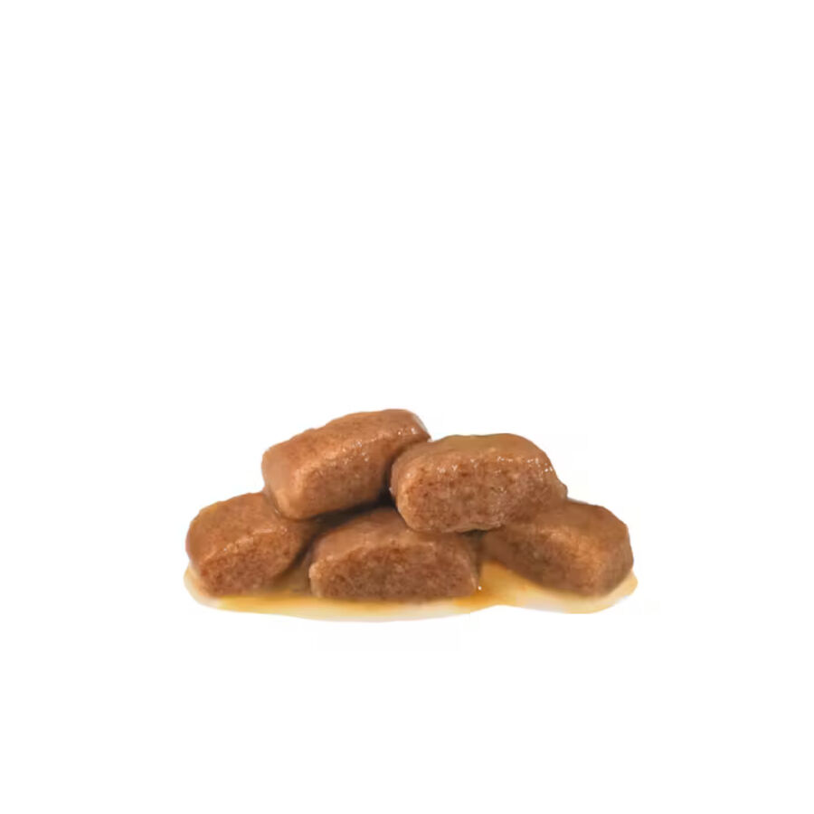 12 saquetas x 85 g Royal Canin Mature Consult L&aacute;minas em molho Sachet para gatos, , large Imagem n&uacute;mero 2