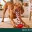 Wonder Christmas Osso com Corda Brinquedo para c&atilde;es, , large Indicador imagem n&uacute;mero 2