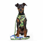Dukier Camo Peitoral reversível com estampado de camuflagem para cães, , large image number null