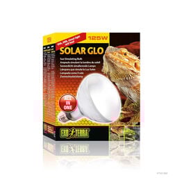 Exo Terra Solar Glo L&acirc;mpada de vapor para aquaterr&aacute;rio para r&eacute;pteis