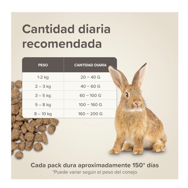 Beaphar Care+ ração para coelhos adultos super premium,  Imagem número 9 Beaphar Care+ ração para coelhos adultos super premium, , large Imagem número 9
