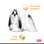 85 g Royal Canin Adult Shih Tzu Patê, , large Indicador imagem número 5