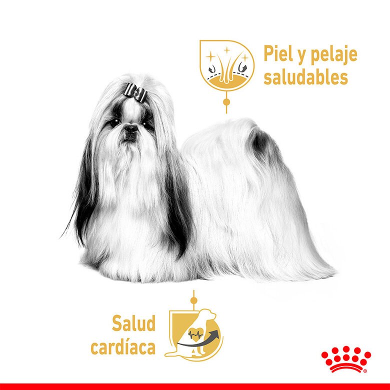85 g Royal Canin Adult Shih Tzu Patê,  Imagem número 5 85 g Royal Canin Adult Shih Tzu Patê, , large Imagem número 5