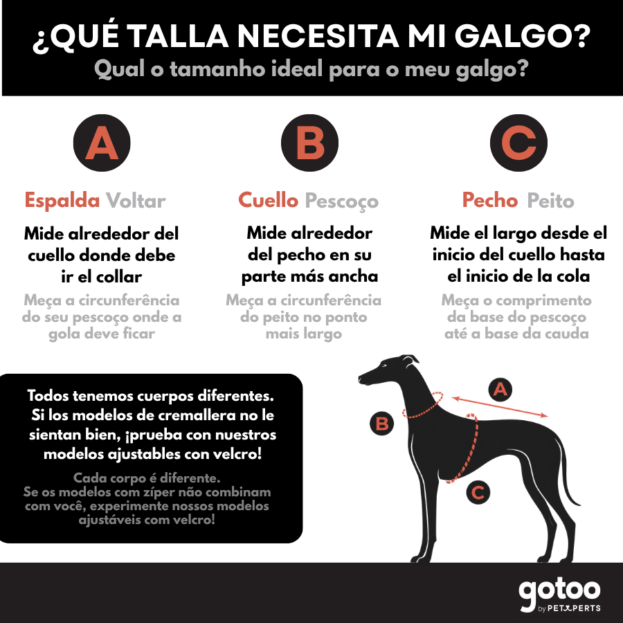 Gotoo Camisola Cinzenta para galgos, , large Imagem n&uacute;mero 8