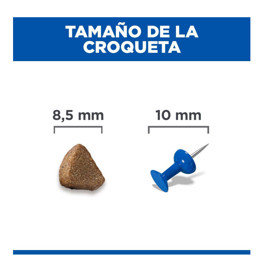 1.5 kg Hill's Science Plan Ra&ccedil;&atilde;o de salm&atilde;o para gatinhos, , large Imagem n&uacute;mero 4