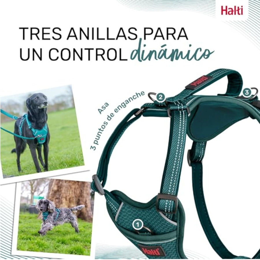 Halti Peitoral Anat&oacute;mico azul-esverdeado para c&atilde;es pequenos, , large Imagem n&uacute;mero 4