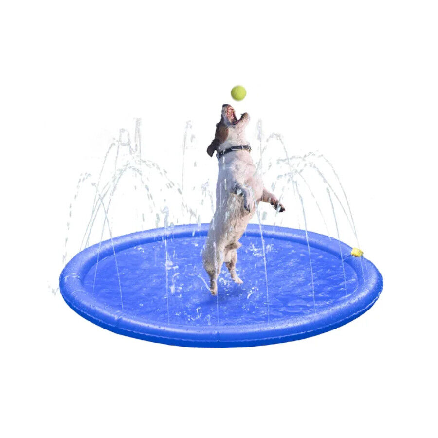 Flamingo Fresk Ienny tapete de pulveriza&ccedil;&atilde;o de &aacute;gua para c&atilde;es, , large Imagem n&uacute;mero 2