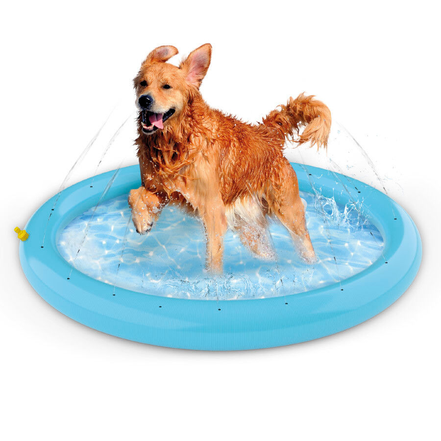 Summer Vibes Piscina com jatos para c&atilde;es, , large Imagem n&uacute;mero 1