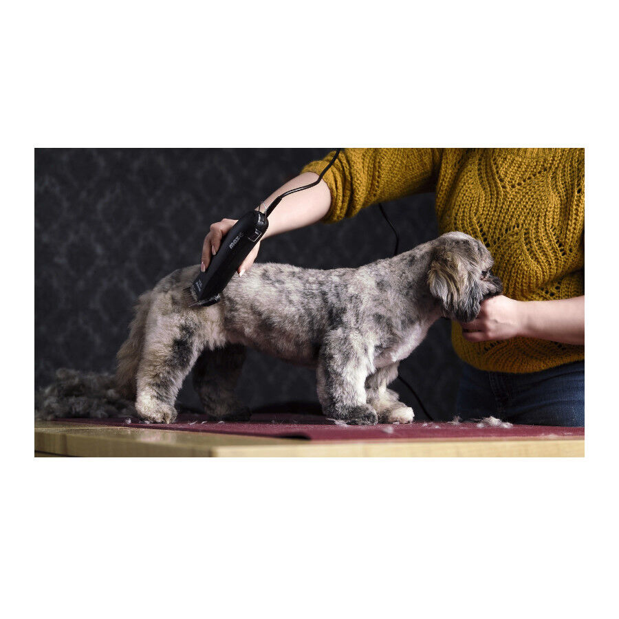 Moser Max 45 M&aacute;quina Cortar pelo para c&atilde;es, , large Imagem n&uacute;mero 3