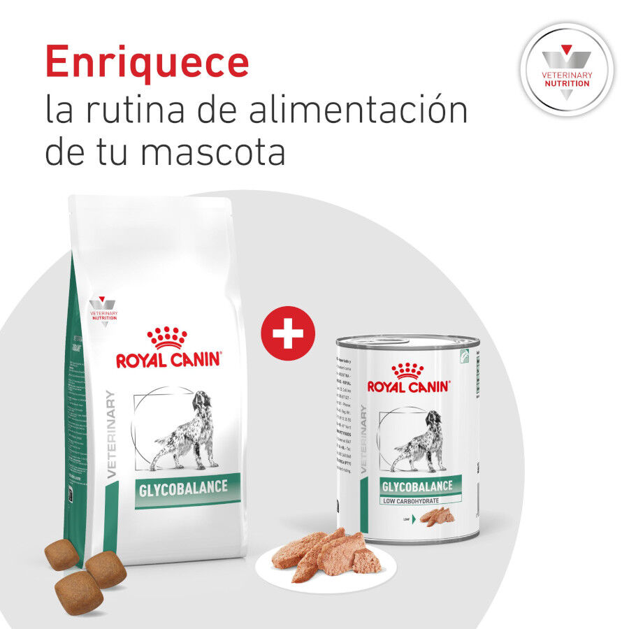 410 g Royal Canin Veterinary Diabetic latas para c&atilde;es, , large Imagem n&uacute;mero 8