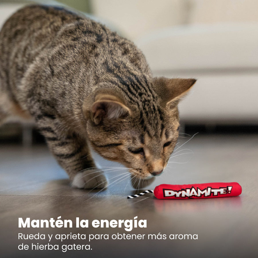 Catstages Green Magic Dynamite Vermelho Peluche para gatos, , large Imagem n&uacute;mero 6