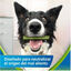 5 sticks Dentalife Snacks Dentários Medium ActivFresh para cães , , large Indicador imagem número 5