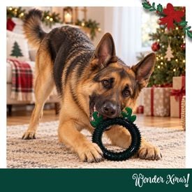 Wonder Christmas Aro de Rena Brinquedo para c&atilde;es