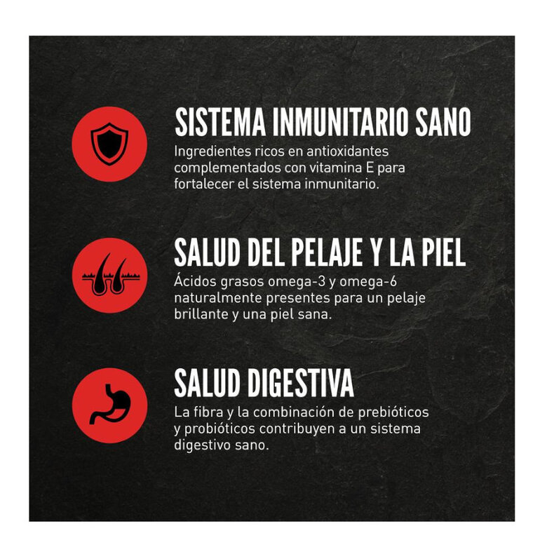 11 kg Orijen Puppy Large ração para cães,  Imagem número 4 11 kg Orijen Puppy Large ração para cães, , large Imagem número 4