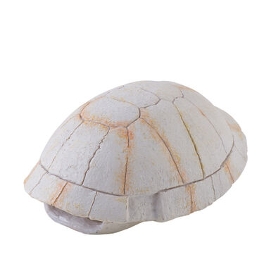 Decoração Exo Terra Fossil Turtle Shell para terrários