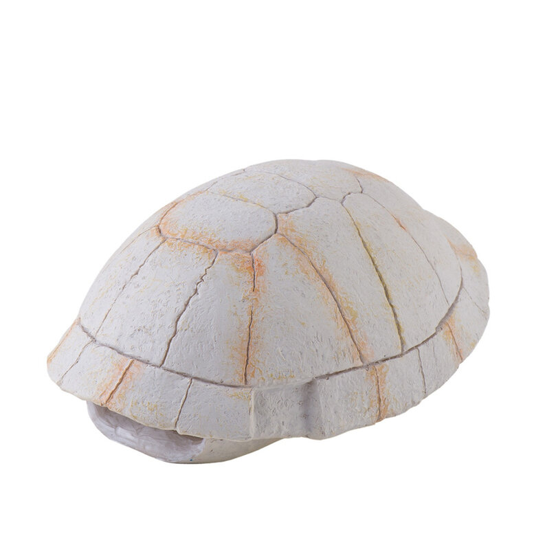 Decoração Exo Terra Fossil Turtle Shell para terrários,  Imagem número 1 Decoração Exo Terra Fossil Turtle Shell para terrários, , large Imagem número 1