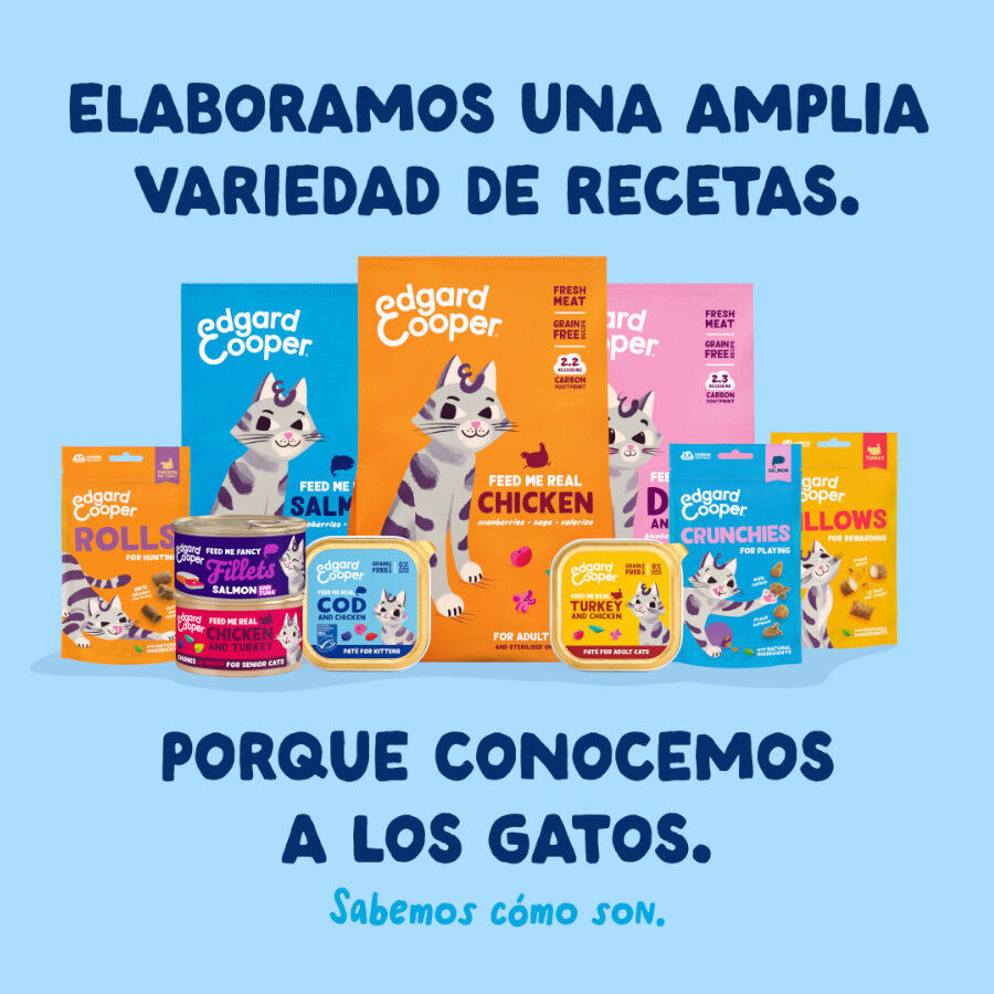 70 g Edgard & Cooper Alimento h&uacute;mido de atum em lata para gatos, , large Imagem n&uacute;mero 8