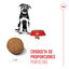 2 x 15 kg Royal Canin Puppy Maxi ração para cães Pack poupança!, , large Indicador imagem número 4