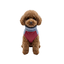 Gotoo Camisola Polar Azul para c&atilde;es, , large Indicador imagem n&uacute;mero 7